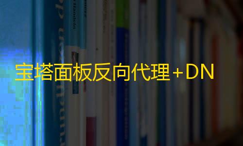 向代理D宝塔面板反DN镜像加实现网站C速